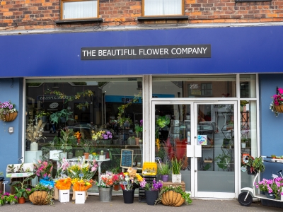 Welcome to The Beautiful Flower Company
