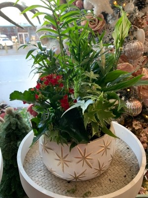 Christmas Planter