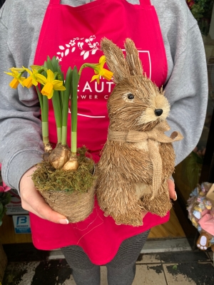 Bunny daffodil planter