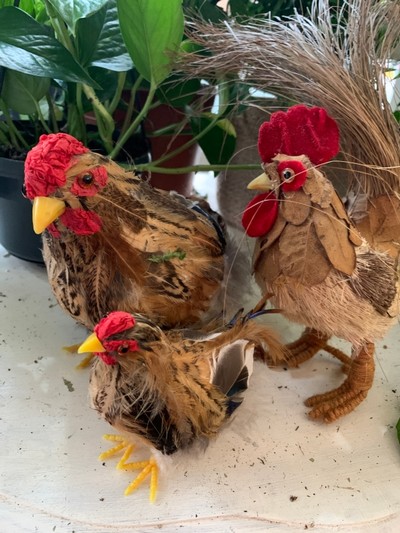 Chicken Family