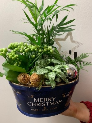 Christmas planter