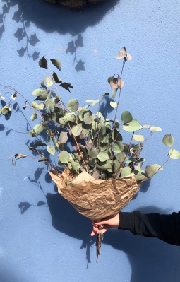 Dried eucalyptus bouquet