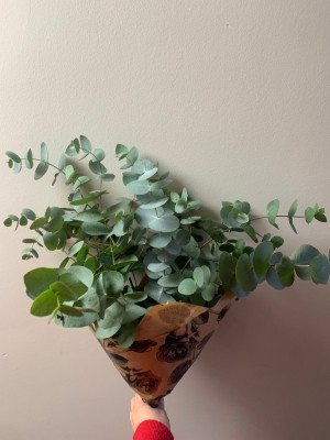 Eucalyptus Bouquet