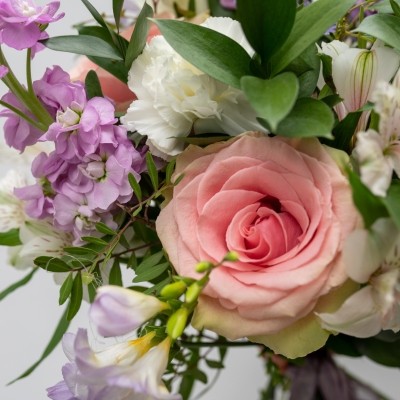 Florists Choice Soft & Delicate