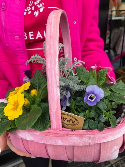 Pink planter