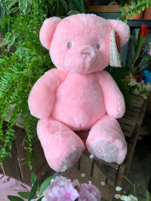 Plush pink baby girl teddy