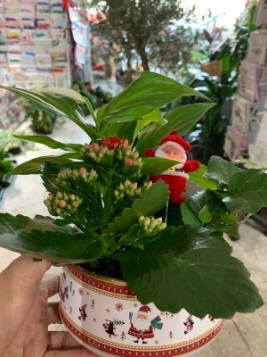 Retro houseplant indoor Christmas Planter