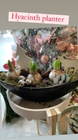Stylish Hyacinth Planter