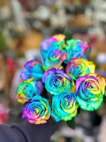 Rainbow Roses