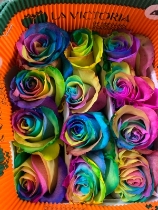 Rainbow Roses