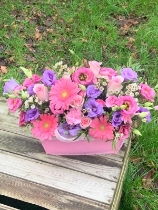 A little bit of lovely