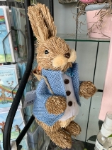 Bunny boy peter rabbit