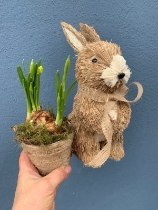 Bunny planter