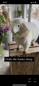 Dolly The Sheep