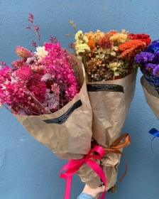 Dried posie pinks