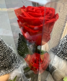 Preserved Red Rose in box with chocolate heart