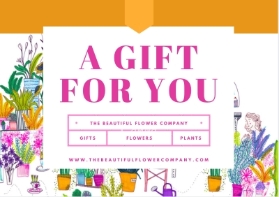 Gift Voucher