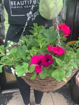 Hanging baskets