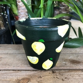 Lemon Pot