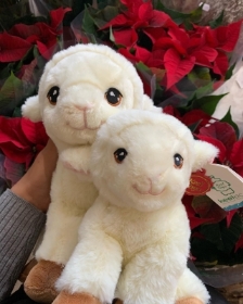 Little lamb