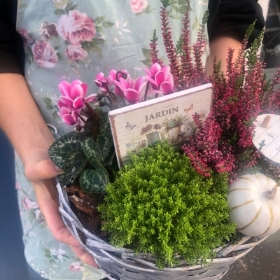 Outdoor Basket Planter