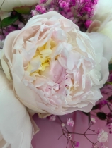 Peony Bouquet