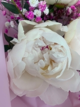 Peony Bouquet