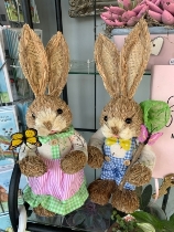 Small butterfly catcher bunny pair