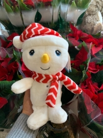 Snow man teddy plush