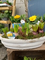 Stone spring Planter