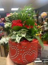 Valentines planted arrangement