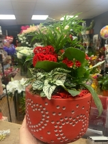 Valentines planted arrangement