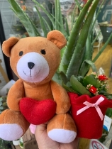 Valentines teddy with plant